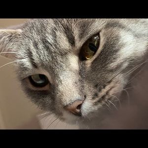 Meet your Posher, Lexi